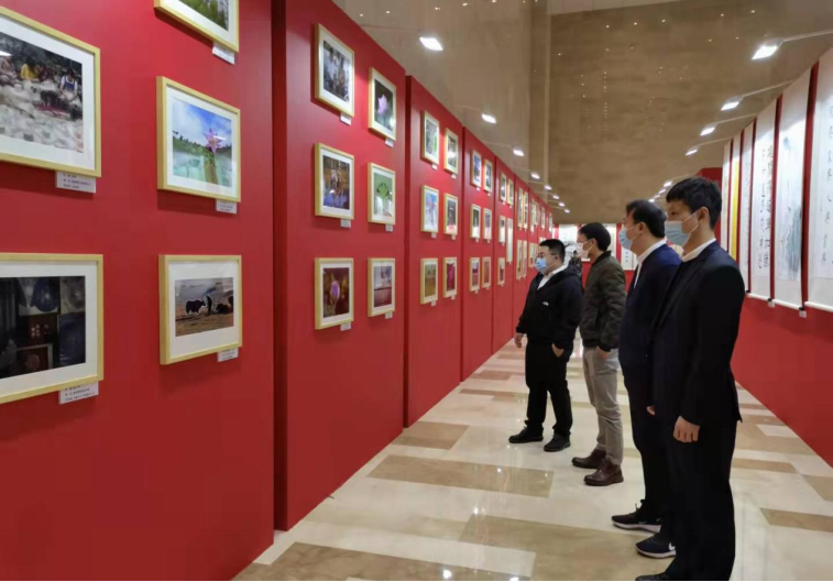 川發(fā)資管組織參觀“說(shuō)廉、倡廉、行廉” 文化作品展覽